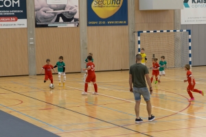 _MG_2528-Avec accentuation-Bruit.jpg